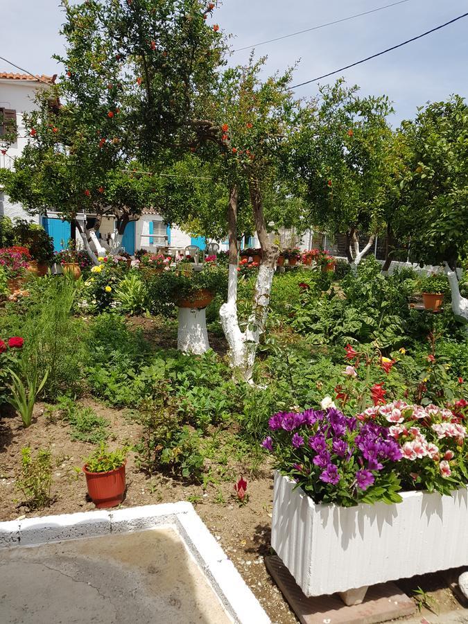 Aparthotel Asimina'S House Città di Skiathos Esterno foto