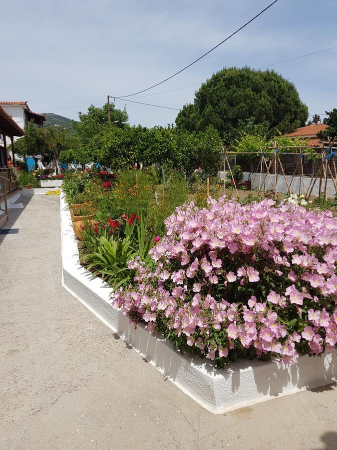 Aparthotel Asimina'S House Città di Skiathos Esterno foto